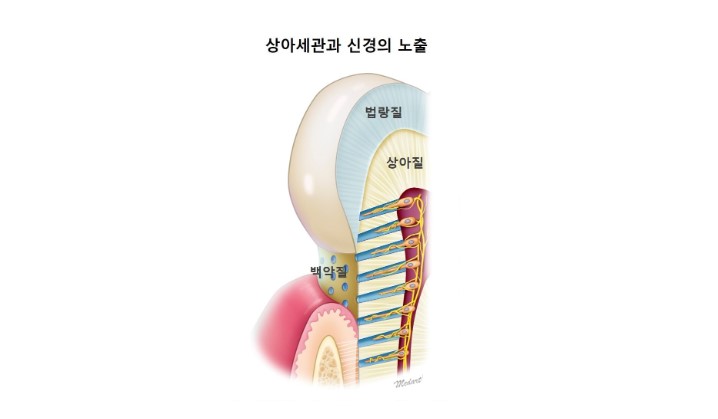 8b8ac98e3e420bd380411d6b03f60516_1763780542_9972.jpg 8b8ac98e3e420bd380411d6b03f60516_1763780542_9972.jpg