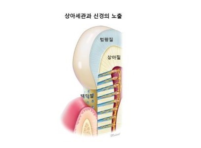 8b8ac98e3e420bd380411d6b03f60516_1763780911_7543.jpg 8b8ac98e3e420bd380411d6b03f60516_1763780911_7543.jpg