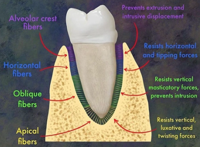94f16cfbafd0ef5dc340257b8654e0e5_1763685865_6593.png 94f16cfbafd0ef5dc340257b8654e0e5_1763685865_6593.png