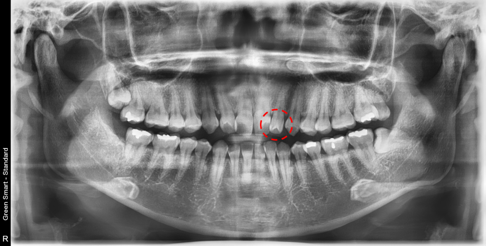 a79642d4c465296dc3eab8eae7d012ea 1763368886 8821