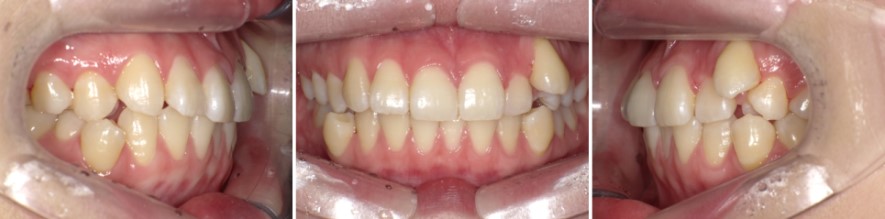 35653dcbafd820f14ced44ed9eab5a01 1766366317 9694