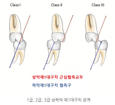 76a4d2e55ee3469531d0443854bad679 1766108975 1282