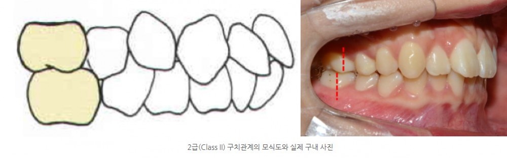 76a4d2e55ee3469531d0443854bad679 1766108975 183