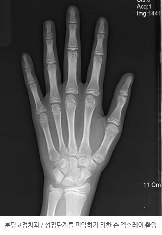 42a336b87a1787b3015b65c4853ddec4 1769749933 2011 42a336b87a1787b3015b65c4853ddec4 1769749933 2011