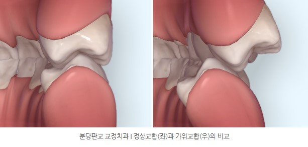 9974014fde9c3829d69e8c0fa8973d5b 1773967001 6504