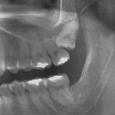 9974014fde9c3829d69e8c0fa8973d5b 1773967414 8555